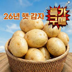 [초특가찬스]포슬포슬 햇감자 수미감자 산지직송10kg중