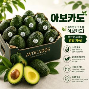 아보카도 대용량 대과 프리미엄 대과 5과