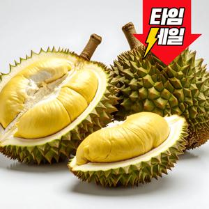 [타임특가] 냉동 손질두리안 1팩 (팩당 390g내외)