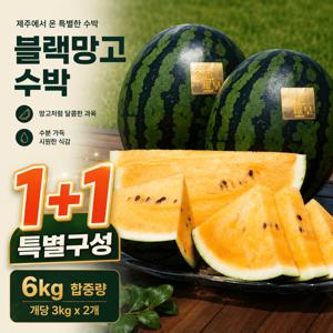 [1+1] 달콤시원 제주 블랙망고 수박 2개 (개당 3kg내외)