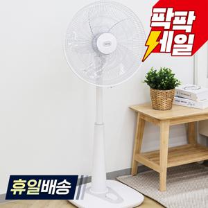 TEMU 머리가 커서 너무 시원해~ 침대에서도 잘 느껴지는 바람~ 레이나 선풍기 RF-1616 16인치(40cm) 키높이 스탠드형 깔끔화이트
