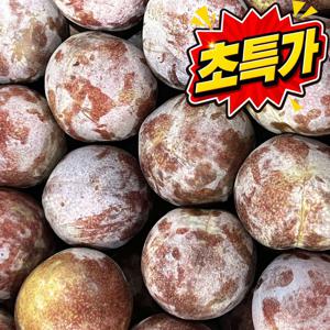 [여름초특가] 한입 먹고 반하는 피자두 3kg
