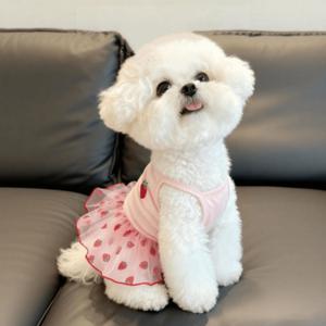 펫용 얇은 글리터 딸기 프린트 원피스 1개, 귀여운 핑크색 메쉬 민소매 캐미솔 원피스, 여름 통기성 좋은 스위트 공주 의상