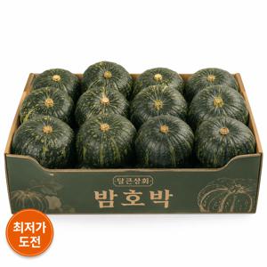 [제주에서날아온] 미니 밤호박 999g