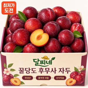 [3일만 특가] 아삭새콤 제철 자두 국내산 1kg