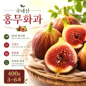 [영암직송] 첫수확 고당도 홍무화과 400g