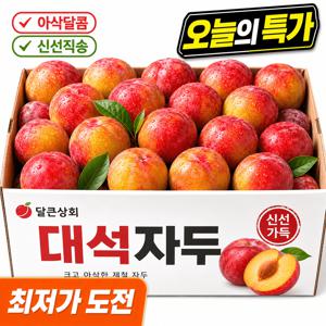 [소문으로만든던] 로얄 제철자두 1kg 진한새콤달콤 아삭 국내산 여름과일
