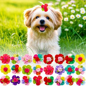 20개 소형견 리본 | 꽃 모양 강아지 꽃 리본 테디 슈나우저 긴털 강아지용 | 헤어 장식 봄 애견 용품
