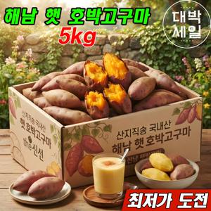 [산지직송] 26년 첫수확 국내산 해남 햇 꿀호박고구마 한입(20-60g) 4kg+1kg / 완전달달 꿀고구마