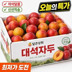 [당일수확] 로얄 자두 999g 과즙가득 아삭달콤 국내산 프리미엄 제철