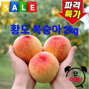 [압도적초특가] 말랑말랑 달콤 쫄깃 황도 복숭아 2kg 산지직송