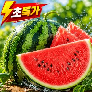 [원가판매]꿀당도 수박 못난이 기박
