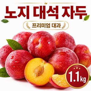 고당도 새콤달콤 한입에 쏙 노지 대석 자두 프리미엄 대과 1.1kg