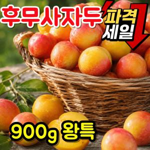 [후무사자두 900g 왕특] 꿀당도 국내산 제철자두