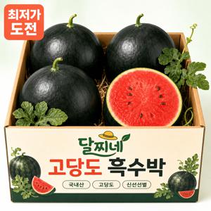 [오늘의특가] 프리미엄 고당도 흑수박 9kg 내외