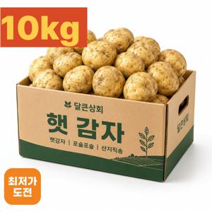 [재구매1위] 하루딱50박스 10kg 수미감자 햇감자 감자