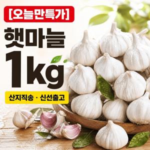 [햇수확] 알이 꽉 찬! 햇마늘 1000g
