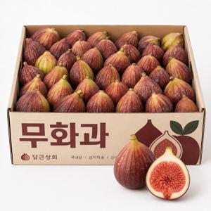 [최저가도전] 26년 수확 영암 홍무화과 무화과 498g