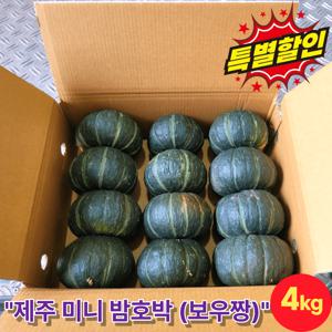 [시즌시작] 제주산 밤호박(보우짱) 로얄과 실중량 4kg - (박스제외)