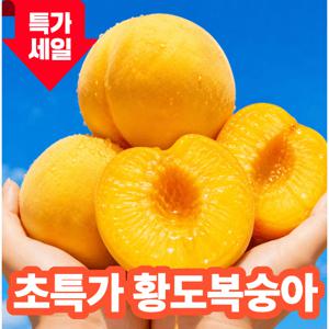 [산지직송특가] 고당도과즙 황도복숭아 1.97kg