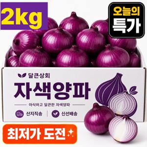 국내산 아삭한 자색양파 산지직송 5.5cm 중대사이즈
