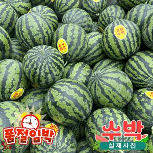 [품절임박]초고당 산지직송 프리미엄 수박 8kg 내외(가정용)