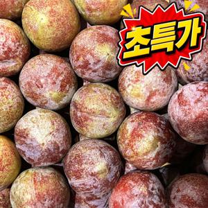 [여름특가] 과즙 가득 고당도 피자두 2kg