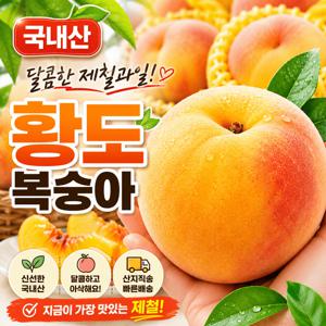 국내산 달콤한 황도 복숭아 산지직송 신선과 고당도 제철 과일