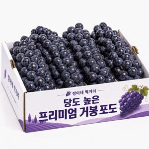 [새벽수확] 프리미엄 거봉 포도 0.5kg 제철과일 여름포도