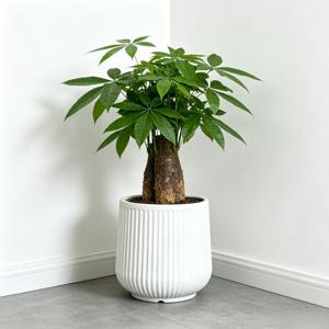 1개 대형 모던 북유럽 스타일 화이트 세로 레진 화분 - 대형 직경 두꺼운 식물 용기, 실내외 사용, 대나무, 새의 둥지 마가리티, 돈나무에 적합, 원예 선물 또는 홈 데코로 완벽