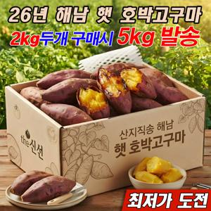 [2개구매시5kg발송] 100% 국내산 해남 햇 호박고구마 한입(20-60g) 1kg+1kg / 산지직송 햇고구마
