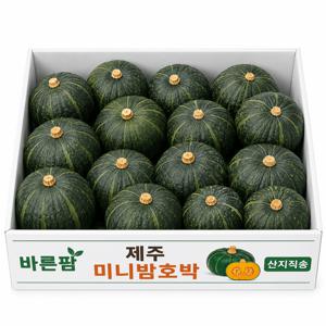 하루10박스만 최저가 제주 미니 밤호박 소과