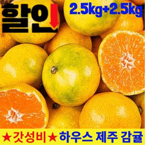 [타임세일] 2.5kg+2.5kg 상콤달콤 톡톡 터지는 실속 제주 감귤 5kg