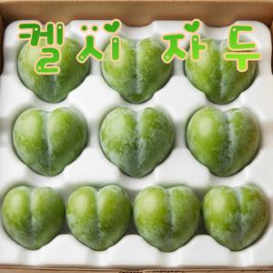 [꿀맛보장] 시원달콤한 국민간식 재철 단독출시!!
