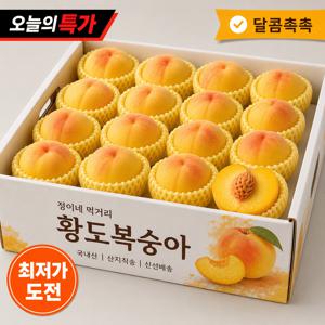 [당일수확50박스] 고당도 황도복숭아 국내산 과일 1989g 정이네