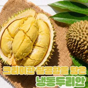 [런칭할인] 크리미한 달콤함을 담은 두리안 1pack 400g 내외)