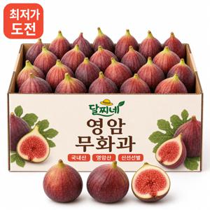 [오늘만초특가] 프리미엄 영암 무화과 450g