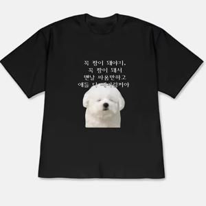 웃긴 티셔츠 남성 캐주얼, 여성 패션, 남녀공용, 커플룩, 여름 속건성 2D 프린팅 티셔츠, 캐주얼 크루넥 골지 반팔, 통기성 니트 상의, 아웃도어 러닝 피트니스 해변 휴가 데일리 다용도 티셔츠, 루즈핏, , 편안함