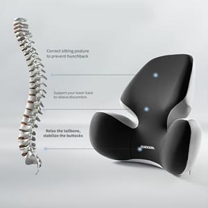 차량용 허리 지지 쿠션, 편안한 등받이 패드, 운전 및 실내 좌석에 적합, 남녀공용, 모든 계절