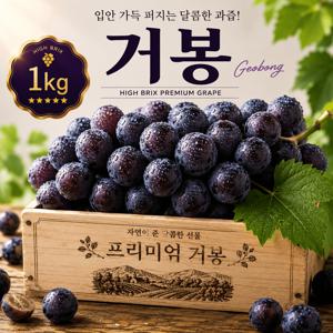 [신지직송] 국내산 고당도 블랙머스켓 거봉