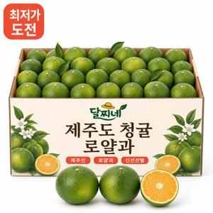 [3일만 특가] 프리미엄 제주 청귤 로얄과 5kg