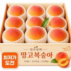 [당도폭발] 프리미엄 망고복숭아 999g 진한단맛 꿀맛 국내산 여름과일 4-8과내외