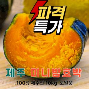 제주 보우짱 미니밤호박 로얄품 (9-10kg내외)