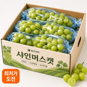 [재구매1위] 프리미엄 아삭 고당도 샤인머스캣 1,980g 청포도 국내산 (2-5수)