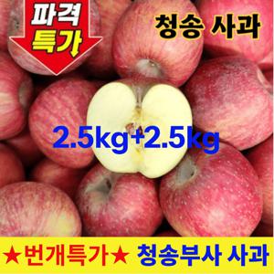 [1+1초특가] 청송 부사사과 2.5kg+2.5kg 득템 알뜰 가정용 5kg