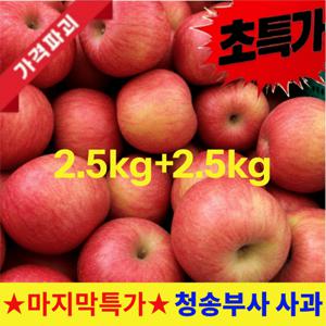 [실속가성비] 2.5kg+2.5kg 과즙 가득 알찬 청송 부사사과 5kg