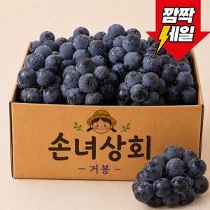 [한정특가] 꿀당도 거봉 499g (원산지: 국내산)