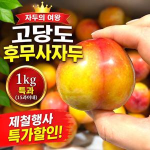 산지직송 새콤달콤 자두 노지 대석자두 1kg