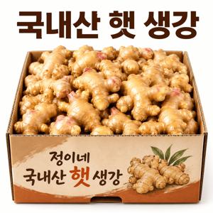 [산지직송] 향좋은 국내산 햇 생강 501g