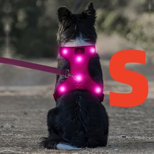 라이트업 LED 강아지 하네스 - 탈착식 배터리 내장형 노풀 LED 강아지 하네스 - 충전식 & 세탁 가능 LED 강아지 조끼 - 소형, 중형, 대형 강아지용 발광 강아지 산책 및 캠핑 하네스